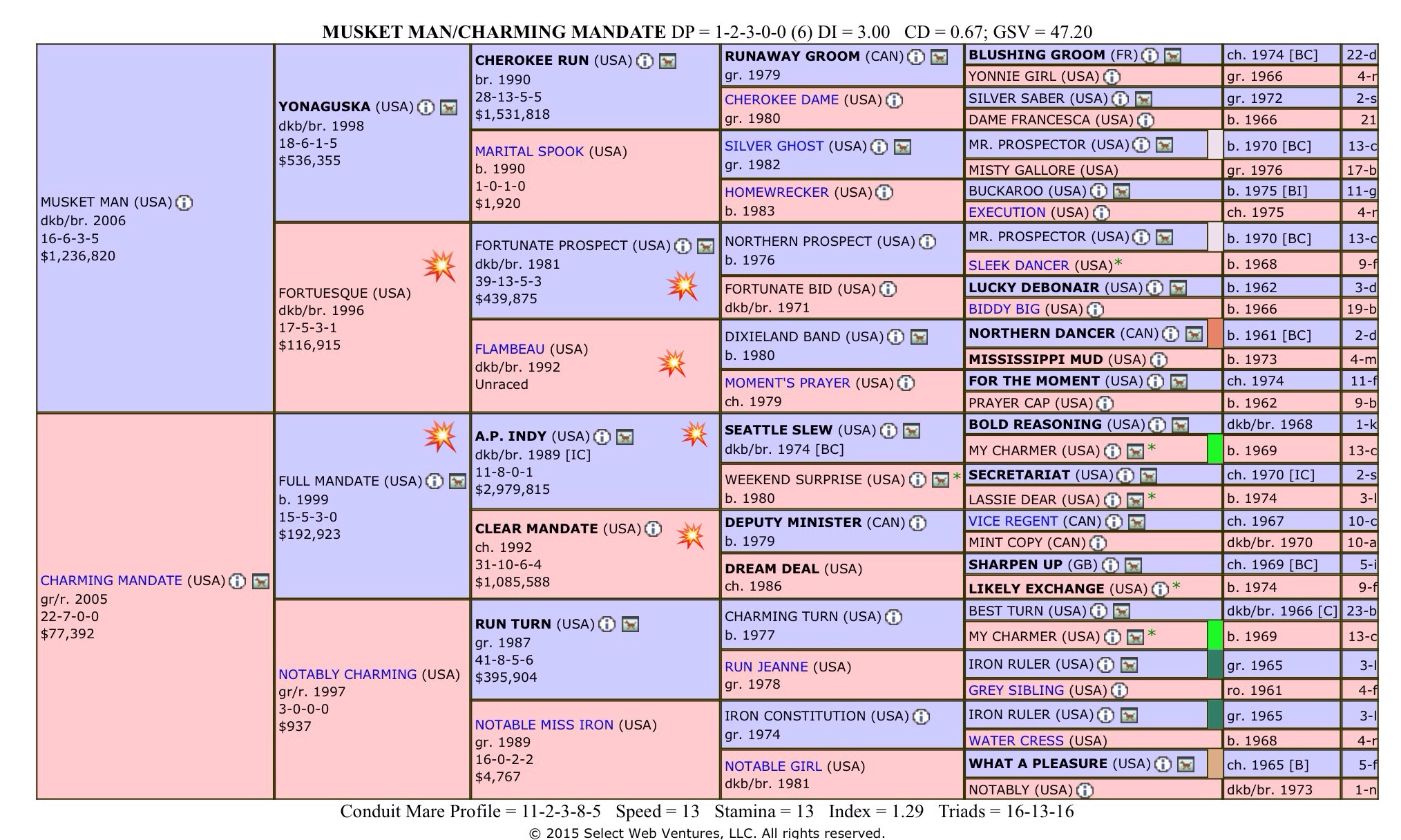 musket man charming mandate hypo foal STARS.jpg